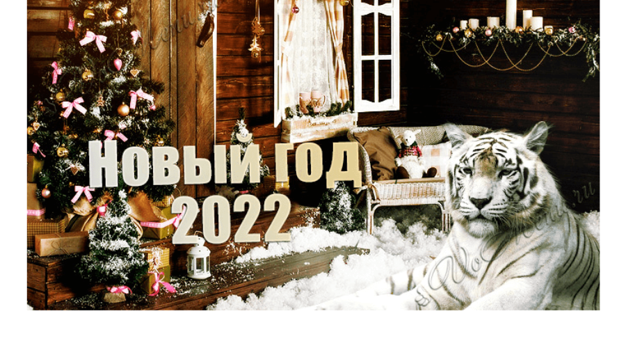 С новым 2022 годом!